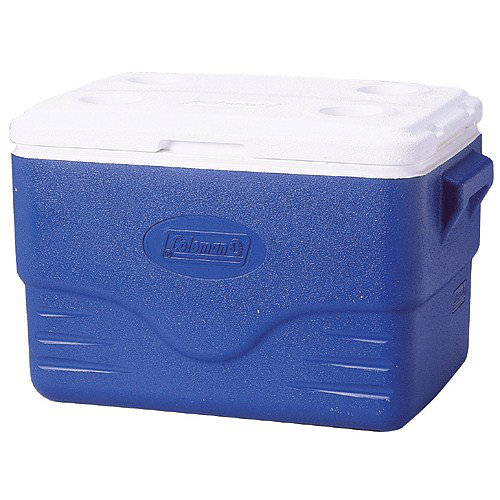 36 quart cooler